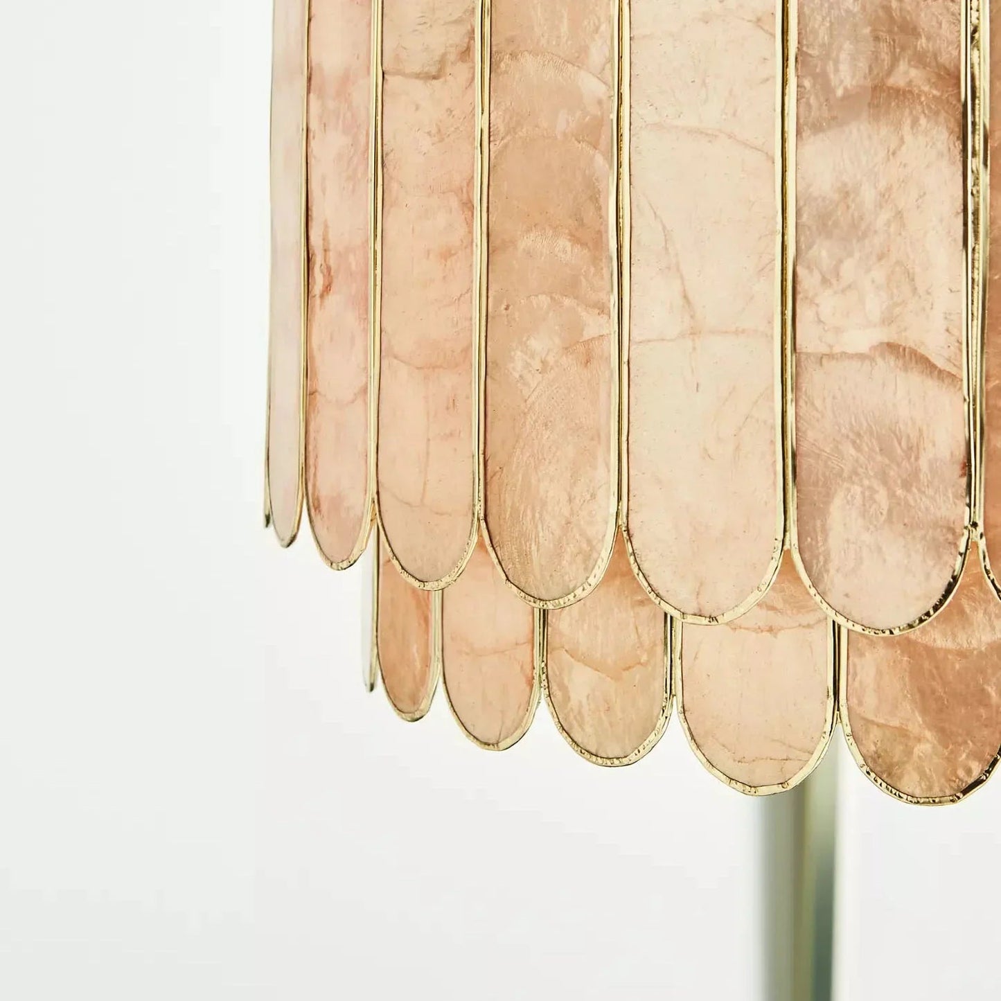 Coastal Shell Luxury Chandelier