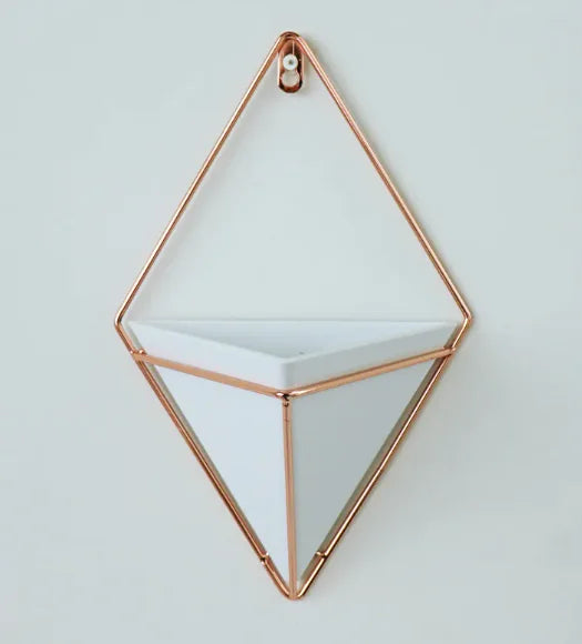 BloomSpace 3D