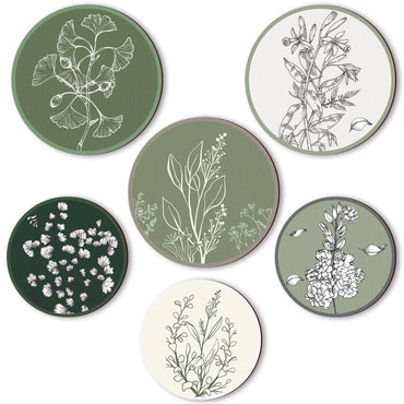Boho Botanical 6-Piece Wall Art Set