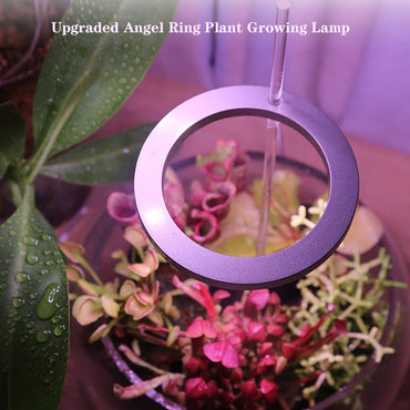 LED Grow Light Full Spectrum Angel Ring Phyto Grow Lamp USB Phytolamp For Plants 5V Lamp Indoor Flower Greenhouse Plant Seedling