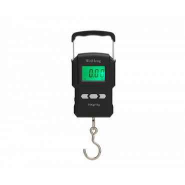 Portable Electronic Scale