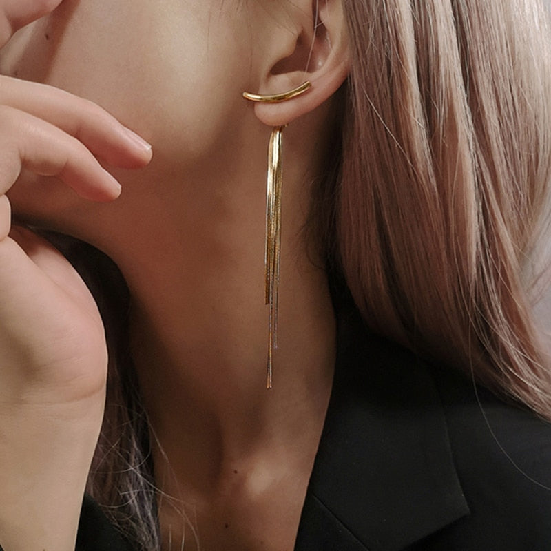 Slim Face Earrings, Bone Chain Drops, Tassel Long Earrings