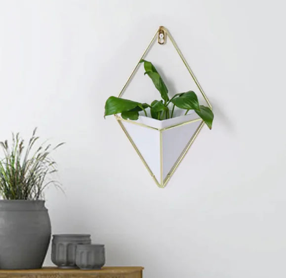 BloomSpace 3D