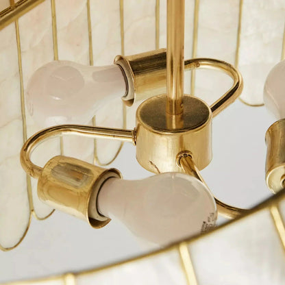 Coastal Shell Luxury Chandelier