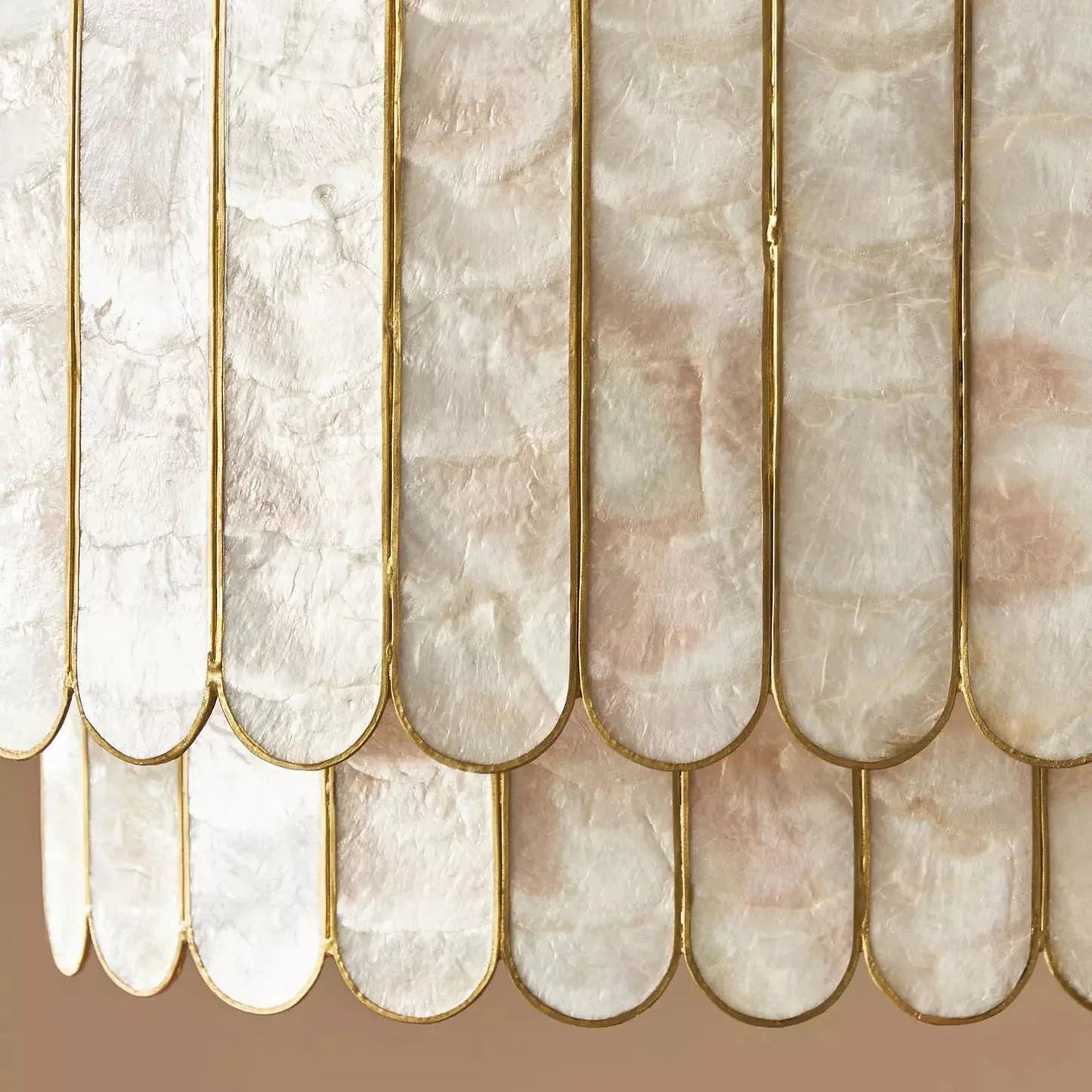 Coastal Shell Luxury Chandelier