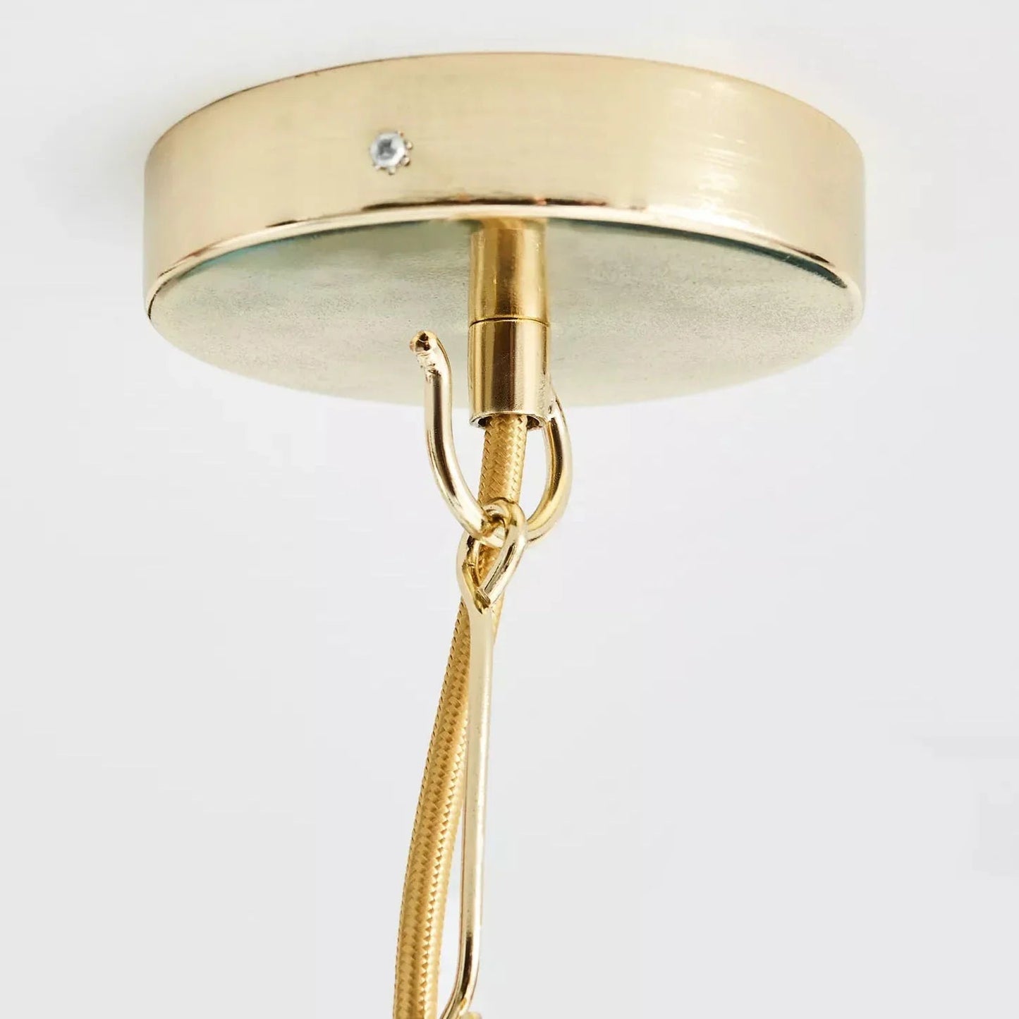 Coastal Shell Luxury Chandelier