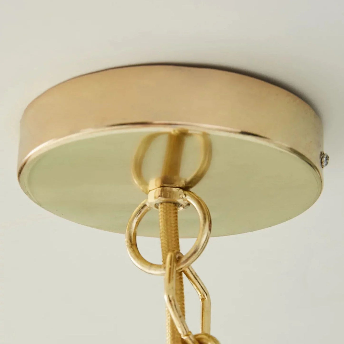 Coastal Shell Luxury Chandelier