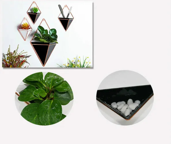 BloomSpace 3D