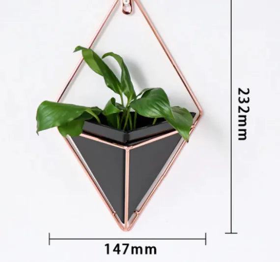 BloomSpace 3D