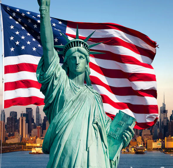 Statue of Liberty Art Curtains - European Quality