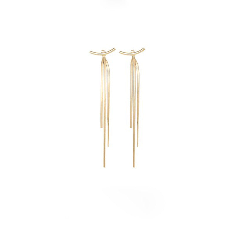 Slim Face Earrings, Bone Chain Drops, Tassel Long Earrings