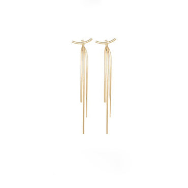 Slim Face Earrings, Bone Chain Drops, Tassel Long Earrings