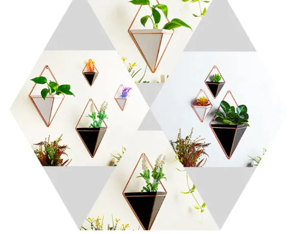 BloomSpace 3D