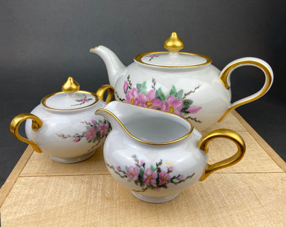 Antique Eschenbach Baronet Tea Set, Bavaria China, Hand-Painted Floral