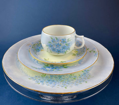 Antique Forget Me Not Porcelain Breakfast Set, Hand-Painted Floral Dishes
