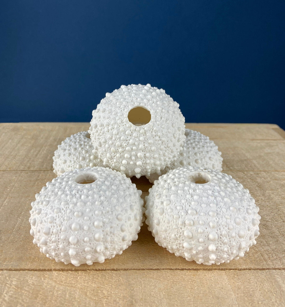 Milk Glass Sea-Urchins Creamer and Sugar. Nautical Themed White Serving Dishes/Accessories. Set of Two. Vacation, Tropical, 2nd Home.