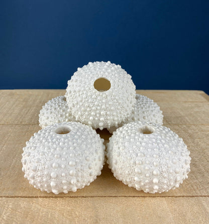 Milk Glass Sea-Urchins Creamer and Sugar. Nautical Themed White Serving Dishes/Accessories. Set of Two. Vacation, Tropical, 2nd Home.