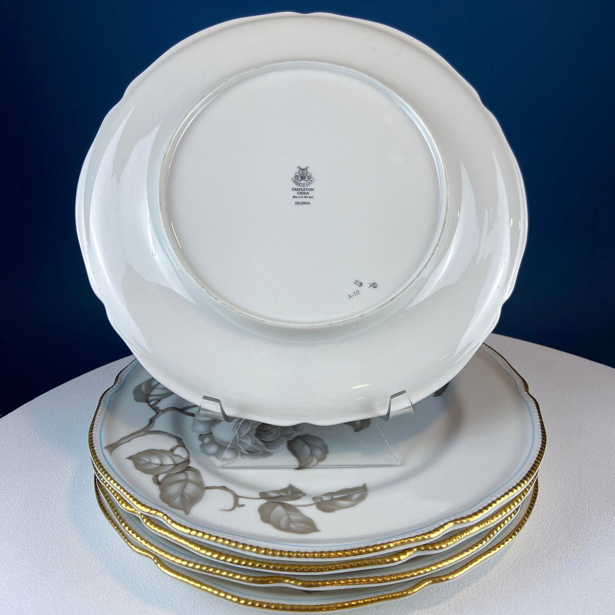 24 Piece Porcelain Dinner Set. Castleton Gloria. Beautiful Neutral Hand Painted Roses. 5 Dinner, Salad, Dessert Plates, Berry Bowls, 4 Cups.