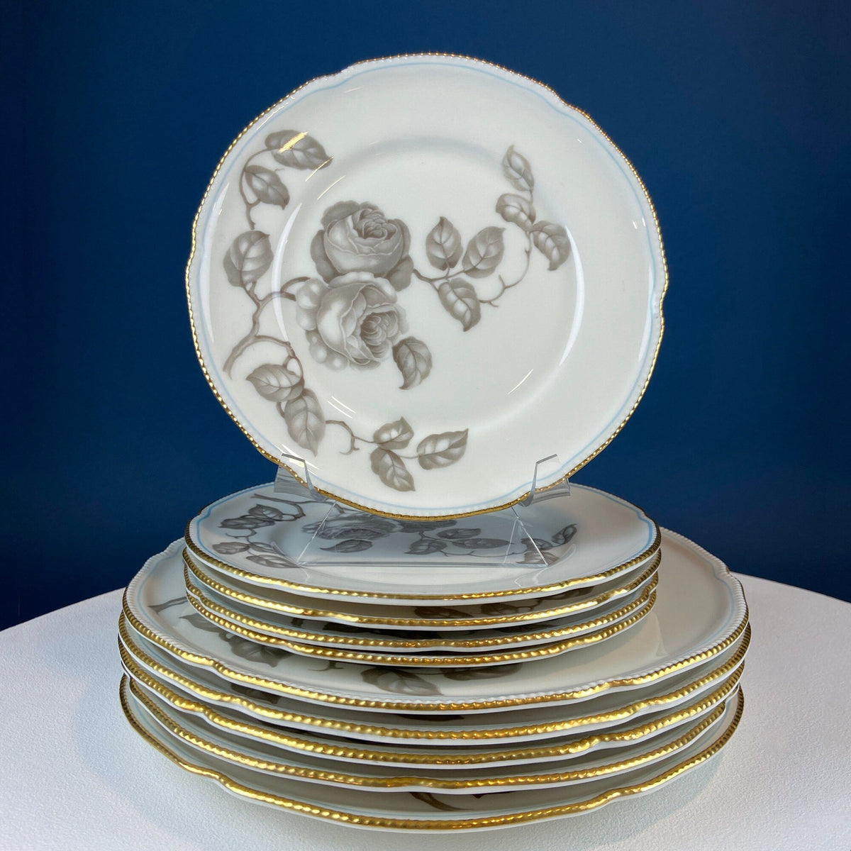 24 Piece Porcelain Dinner Set. Castleton Gloria. Beautiful Neutral Hand Painted Roses. 5 Dinner, Salad, Dessert Plates, Berry Bowls, 4 Cups.