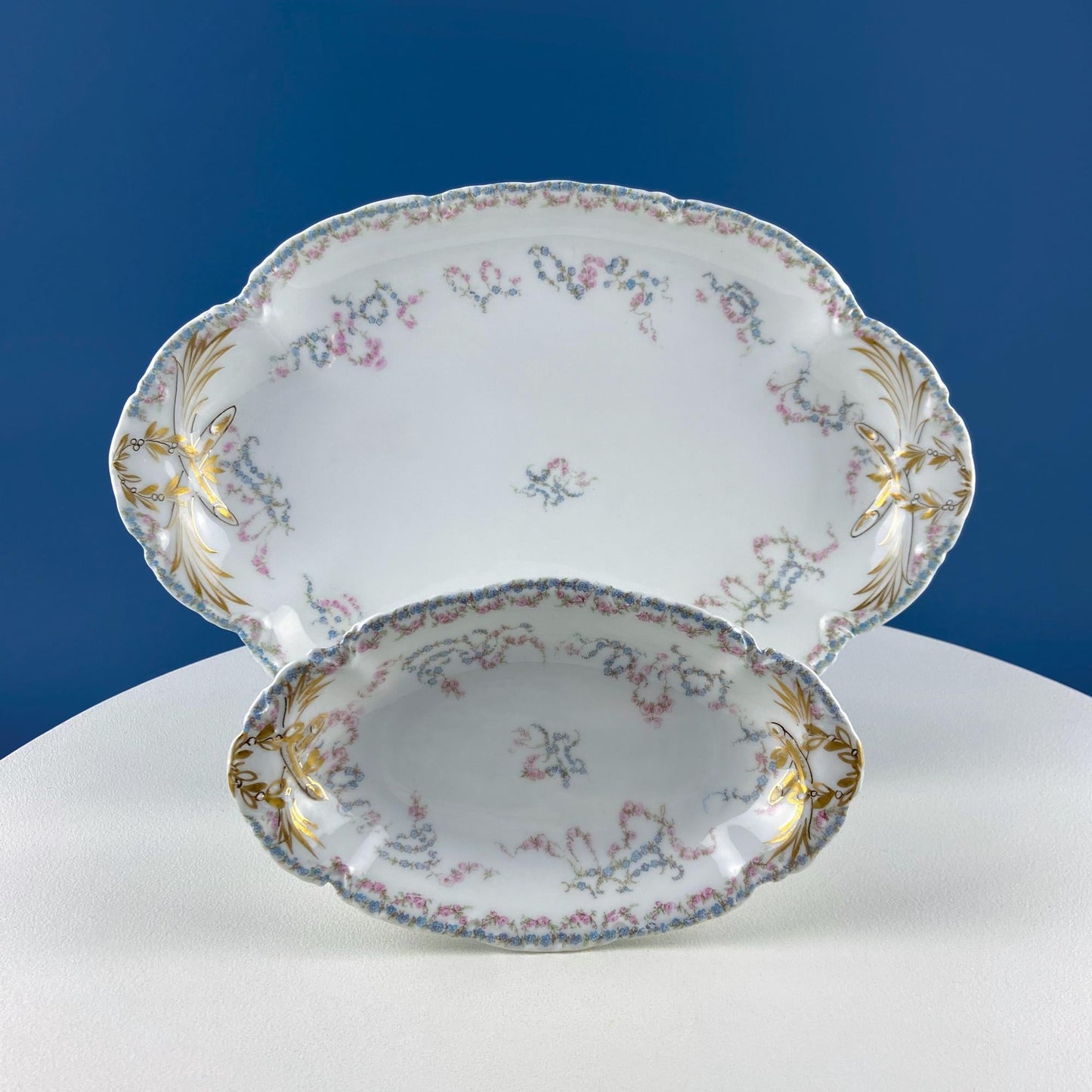 Antique Limoges Breakfast Lunch Dish Set for 8. Floral Motif: Forget-me-Nots Tea Roses. French Country Living. Dining Tea Room Decor.