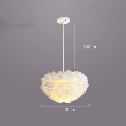 Contemporary Heart Feather Pendant Light
