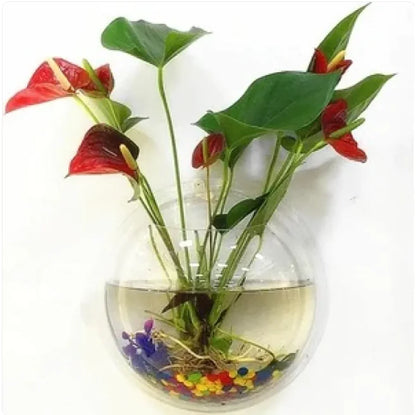 Wall-Mounted Acrylic Fish Tank